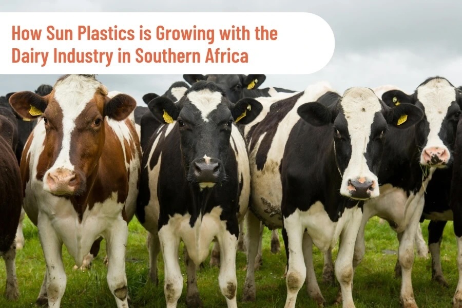 How Sun Plastics is Growing with the Dairy Industry in Southern Africa